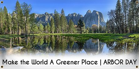 Custom arbor day banner